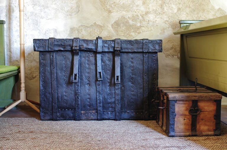 baggage 107279 960 720 768x509