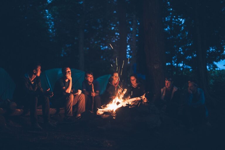 bonfire 1867275 960 720 768x512