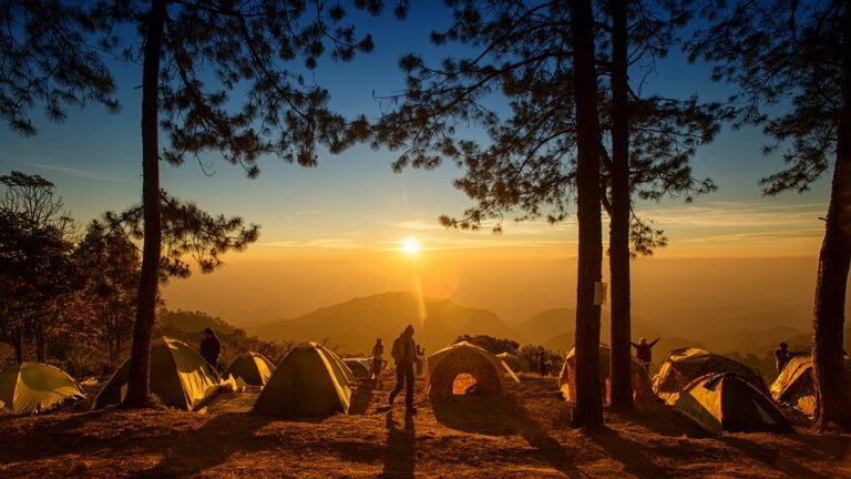 camping 4303357 960 720 768x432