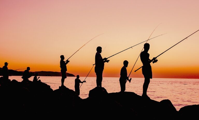 fishing 4933219 960 720 768x463