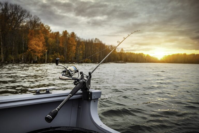 fishing boat 5541327 960 720 768x512